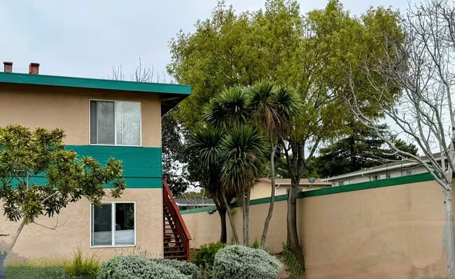 418 Roosevelt Ave Sunnyvale, CA 94085 photo 4