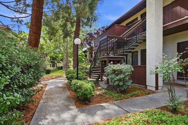 479 Costa Mesa Terrace Sunnyvale, CA 94085 photo 2
