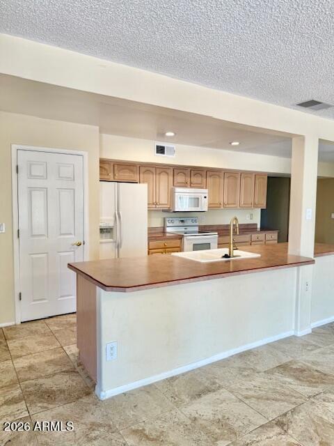 11801 N Coggins Dr photo 5