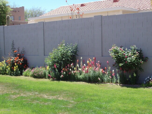16022 N 17th Pl Phoenix, AZ 85022 photo 5