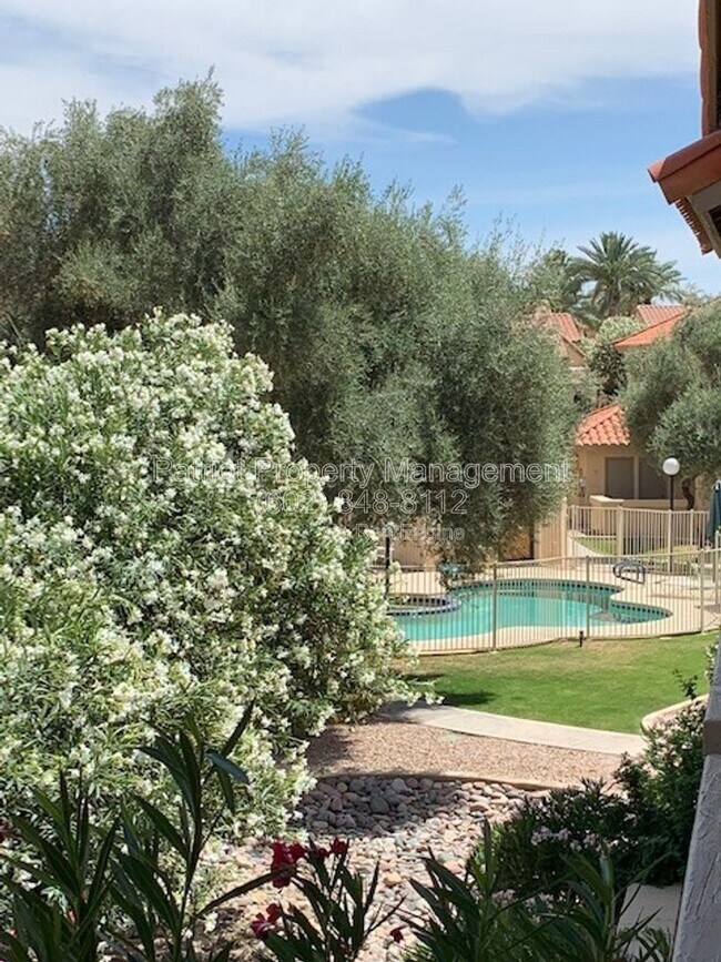 9711 E Mountain View Rd Scottsdale, AZ 85258 photo 2