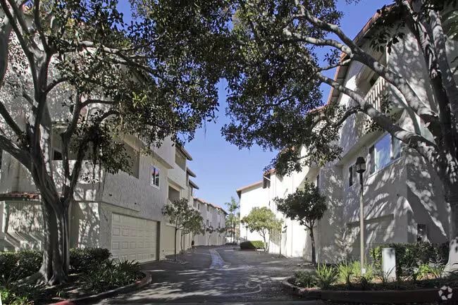 La Jolla Village Tennis Club photo 4