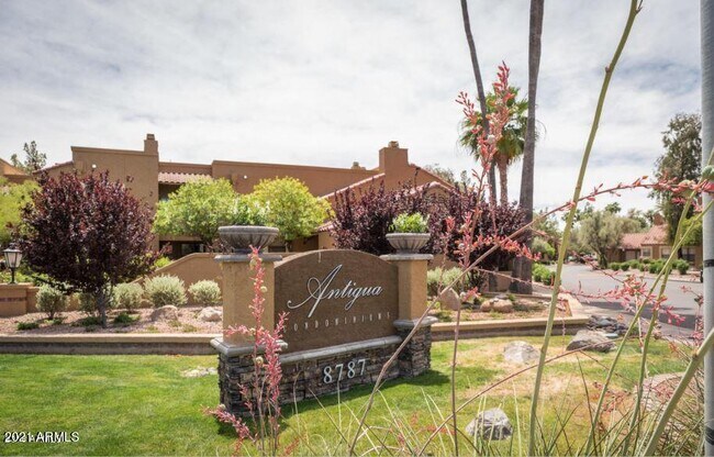 8787 E Mountain View Rd Scottsdale, AZ 85258 photo 2