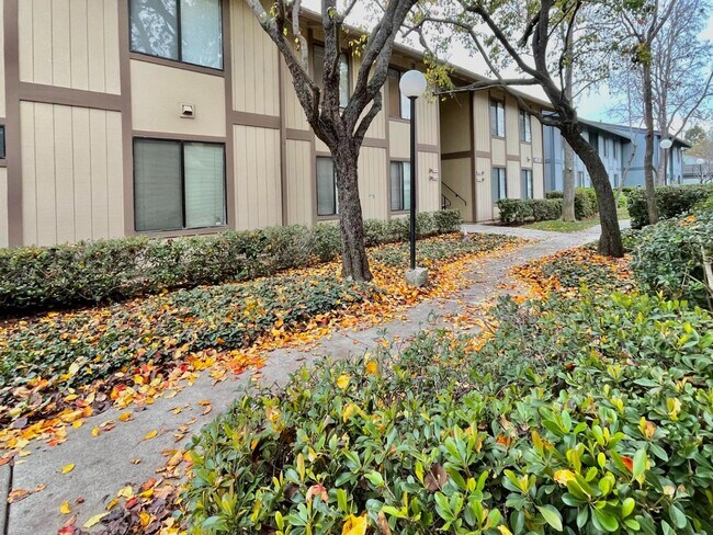 6292 Joaquin Murieta Ave Newark, CA 94560 photo 4