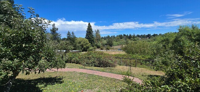105 Watertrough Rd Sebastopol, CA 95472 photo 5