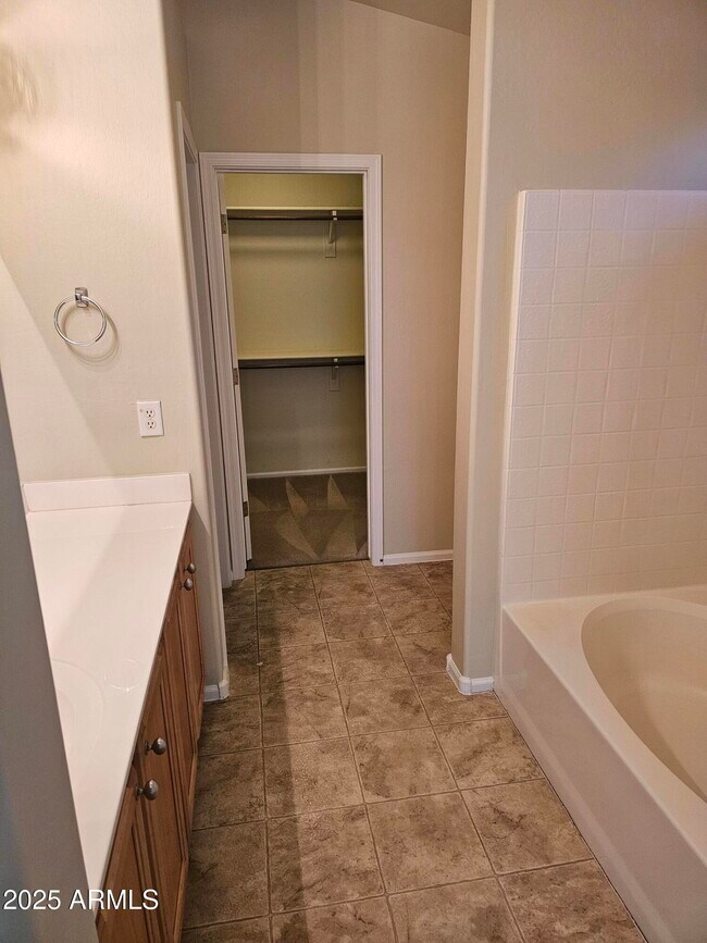 13217 W Mauna Loa Ln Surprise, AZ 85379 photo 5
