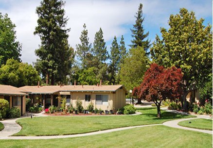 251 Kottinger Dr Pleasanton, CA 94566 photo 4