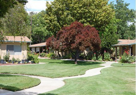 251 Kottinger Dr Pleasanton, CA 94566 photo 5