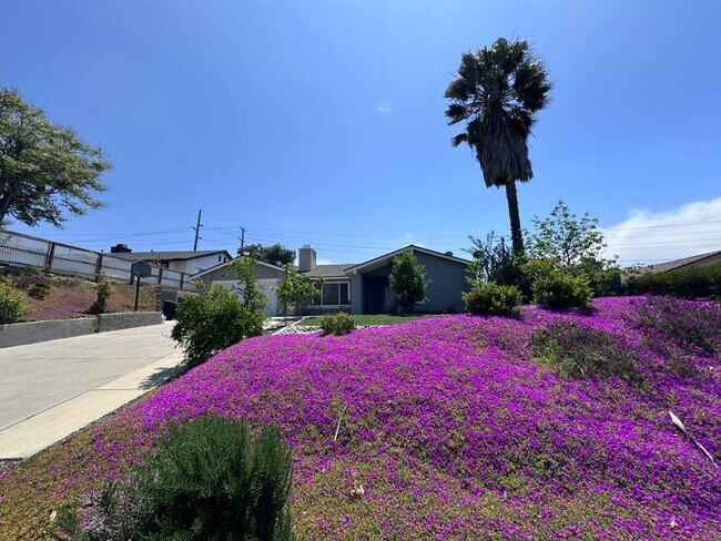 30071 Levande Pl Temecula, CA 92592 photo 2