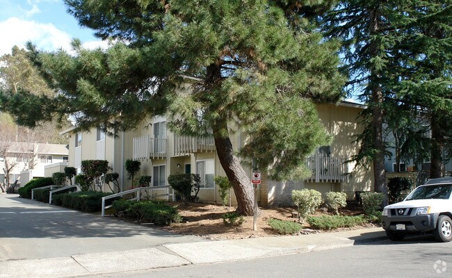 114 Jack London Dr photo 4