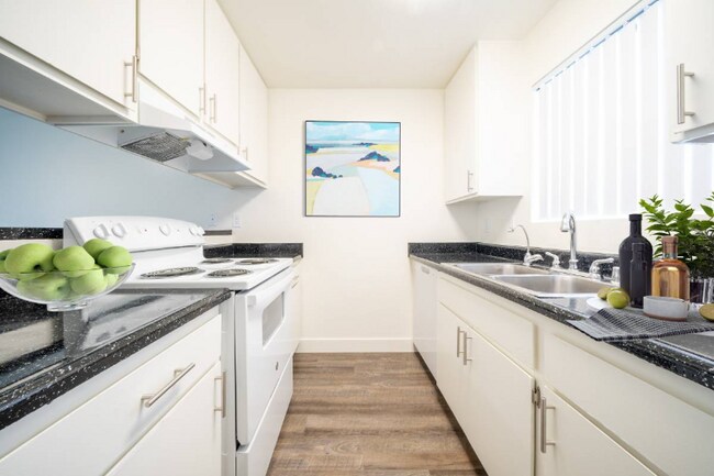 320 Smilax Rd San Marcos, CA 92069 photo 3