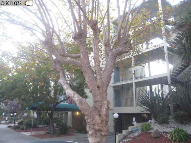455 Crescent St Oakland, CA 94610 photo 2