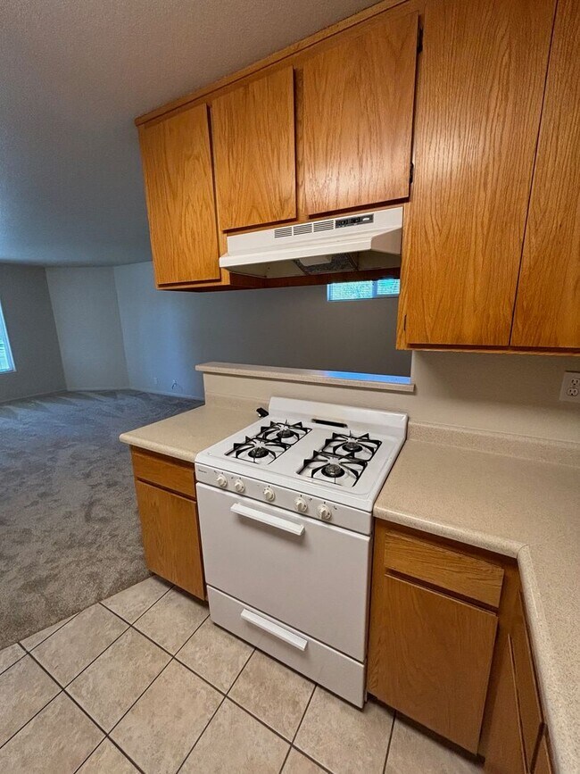 1732 Mount Olive Dr Santa Rosa, CA 95404 photo 5