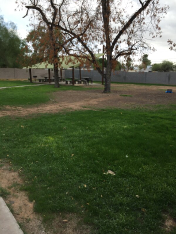 2627 N 27th St Phoenix, AZ 85008 photo 4