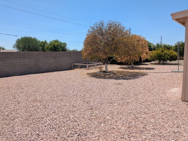 7857 E Flossmoor Ave Mesa, AZ 85208 photo 5