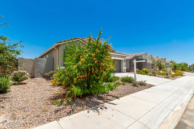 36501 N Senepol St Queen Creek, AZ 85143 photo 3