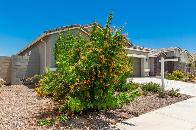 36501 N Senepol St Queen Creek, AZ 85143 photo 4
