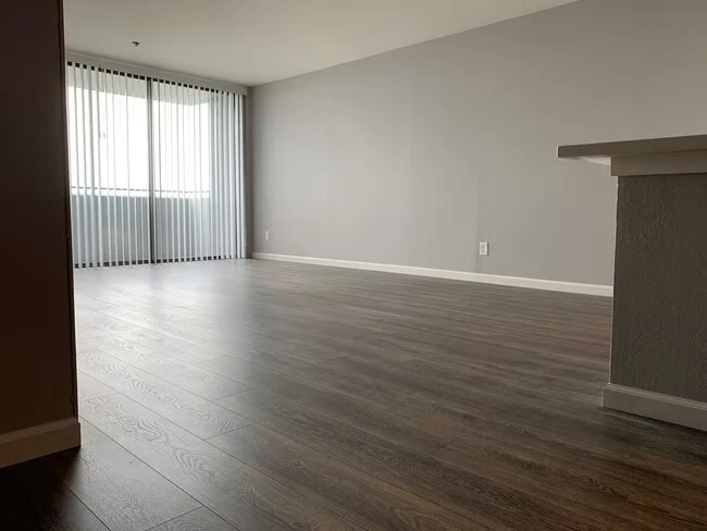 555 Pierce St Albany, CA 94706 photo 3