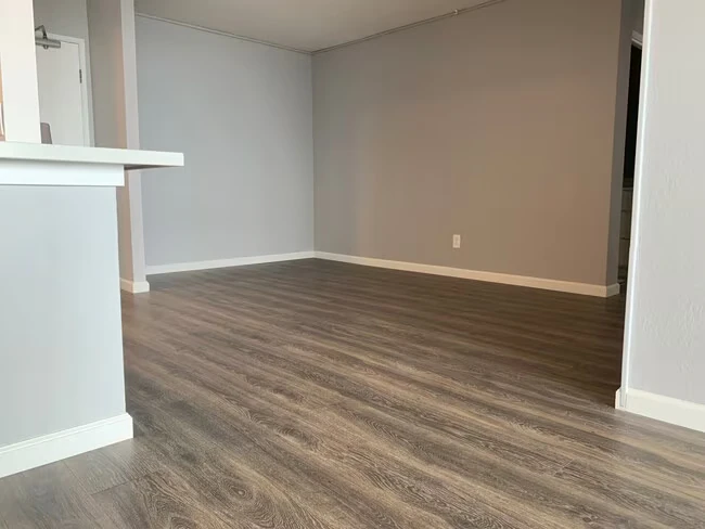 555 Pierce St Albany, CA 94706 photo 2
