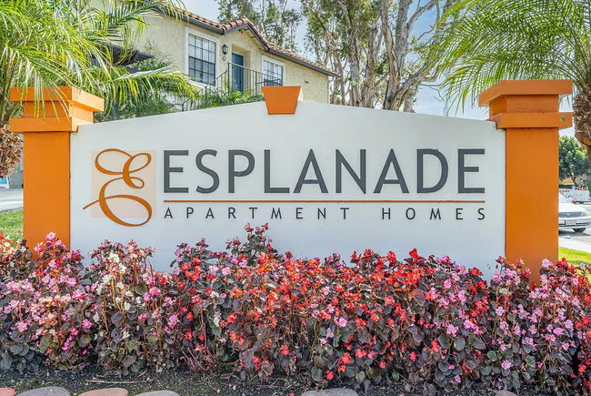 Esplanade photo 4