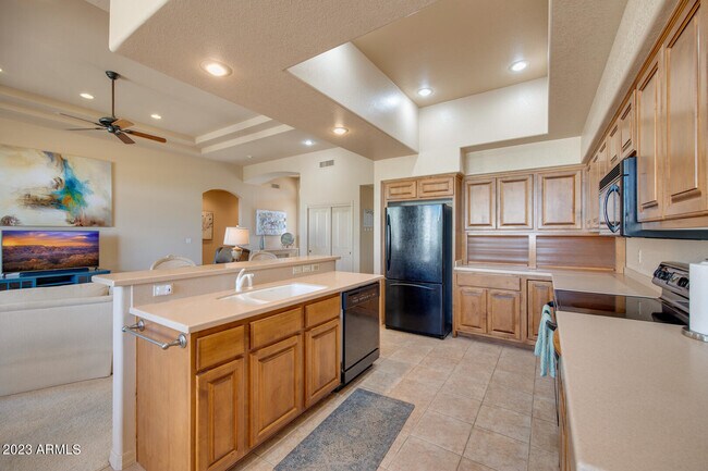 25603 N Sago Dr Rio Verde, AZ 85263 photo 4