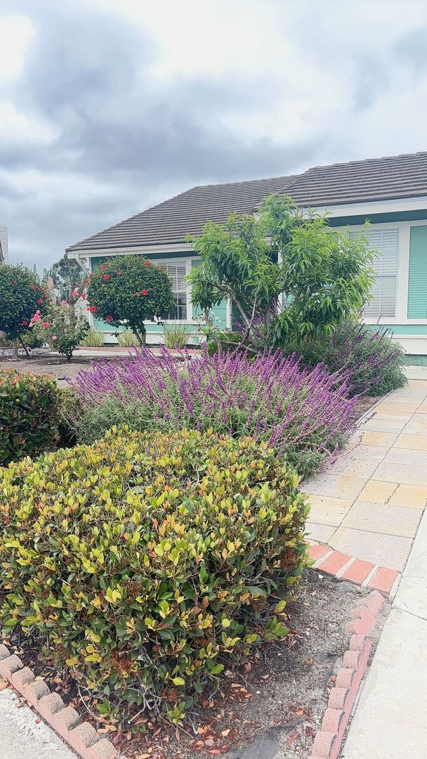 369 Via Metates Oceanside, CA 92057