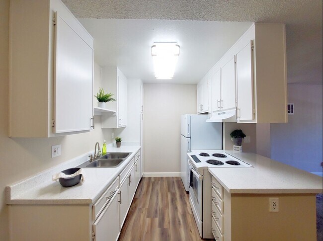 1/1 Remodel 38 floor plan