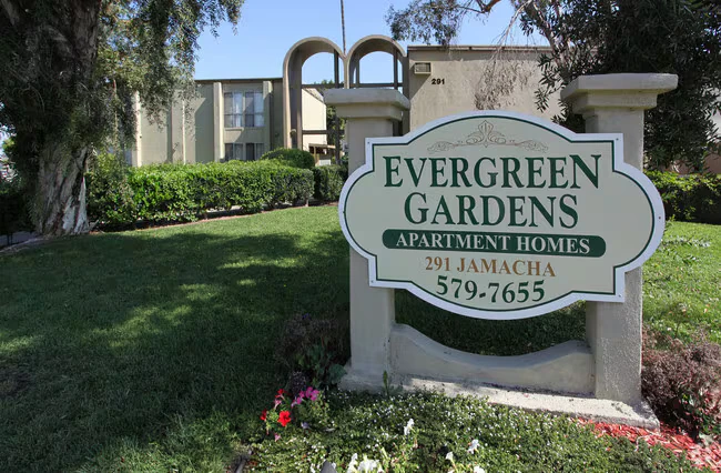 Evergreen photo 5