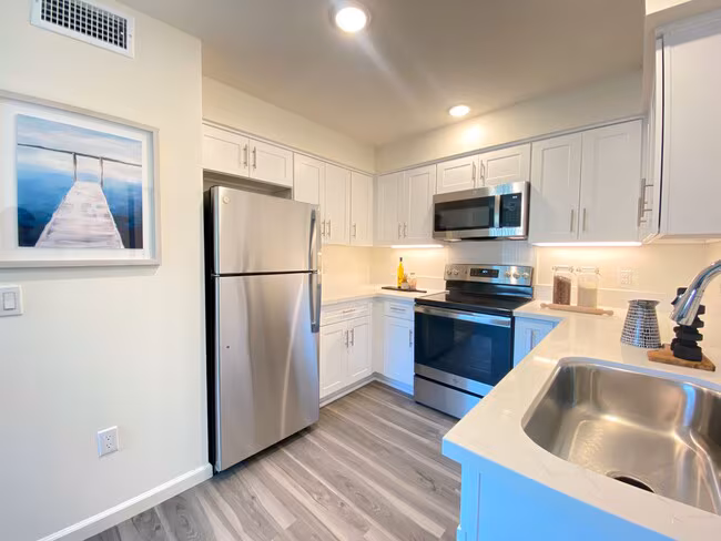 1704 Hornblend St unit 305 photo 5