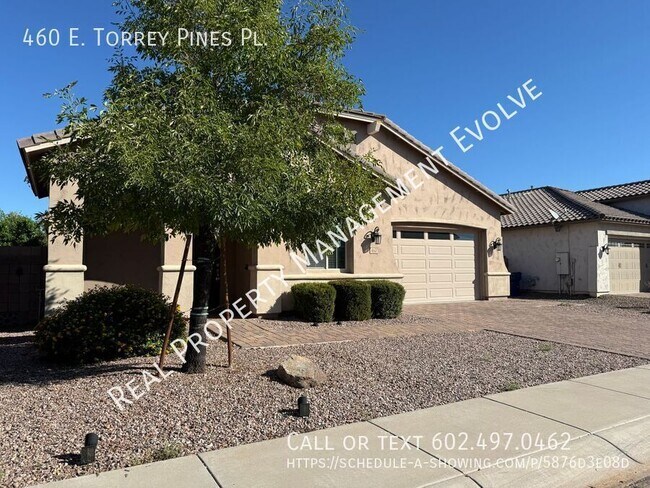 460 E Torrey Pines Pl Chandler, AZ 85249 photo 2