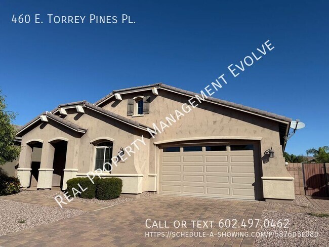 460 E Torrey Pines Pl Chandler, AZ 85249 photo 3