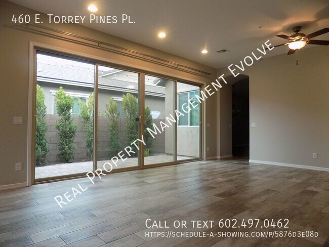 460 E Torrey Pines Pl Chandler, AZ 85249 photo 5