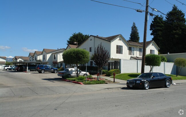 Village View Apartments photo 3