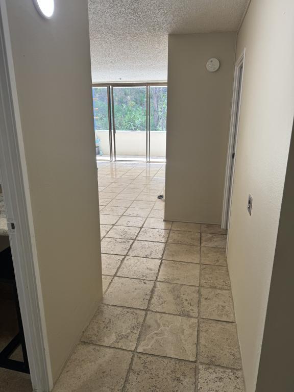 555 Pierce St Albany, CA 94706 photo 3