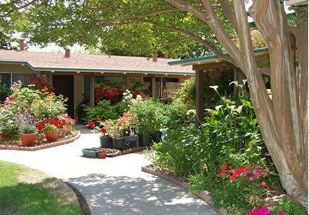 251 Kottinger Dr Pleasanton, CA 94566 photo 2