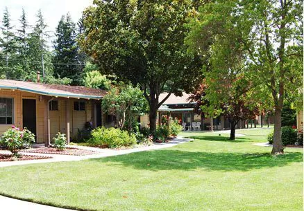 251 Kottinger Dr Pleasanton, CA 94566 photo 3