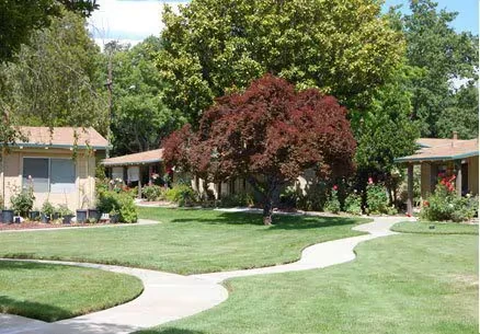 251 Kottinger Dr Pleasanton, CA 94566 photo 5