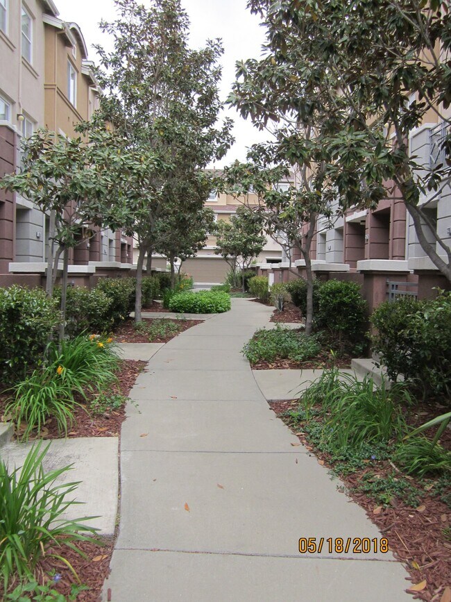 716 City Walk Pl Hayward, CA 94541 photo 3