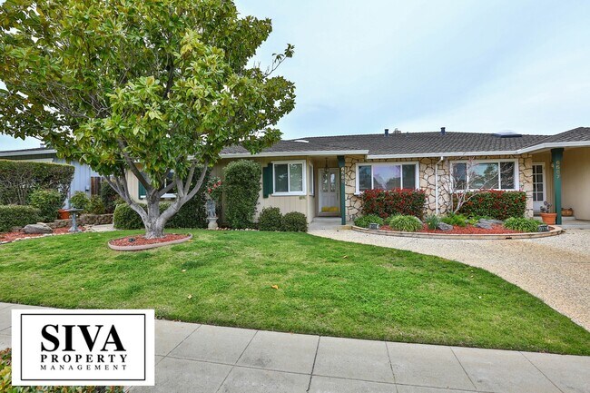 Almaden Beauty photo 2