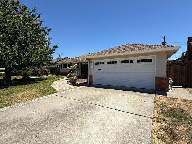 5376 Selma Ave Fremont, CA 94536 photo 3