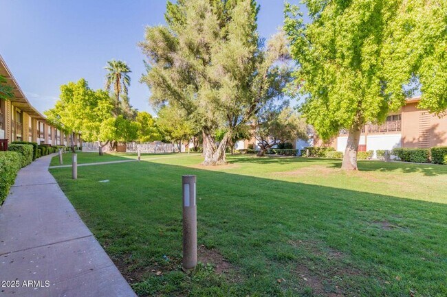 6125 E Indian School Rd Scottsdale, AZ 85251 photo 2