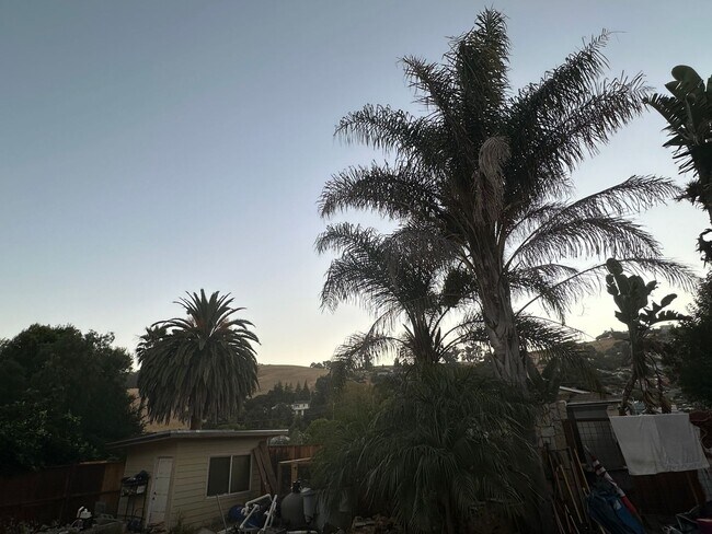 15922 Wellington Way San Leandro, CA 94578 photo 3