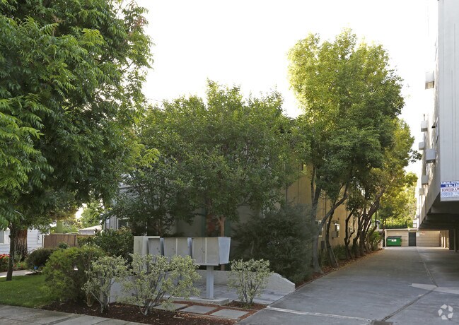 Villa Alameda photo 3