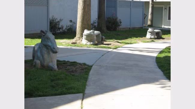 Linda Vista Village photo 5