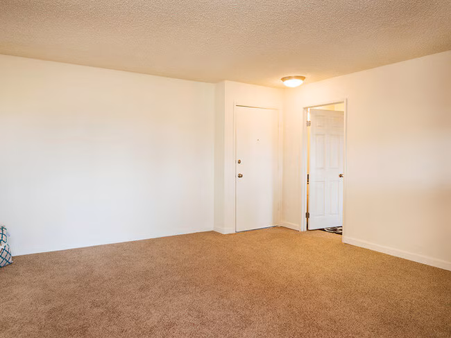 Elan Mesa Lofts photo 4