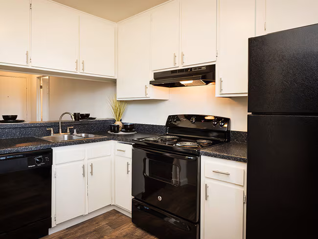 Elan Mesa Lofts