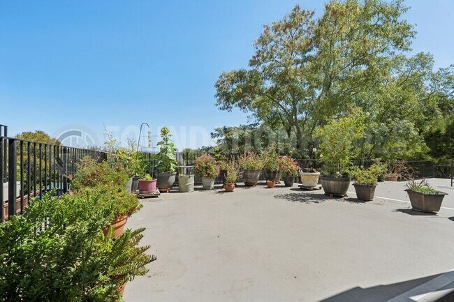 237 Picnic Ave San Rafael, CA 94901 photo 3