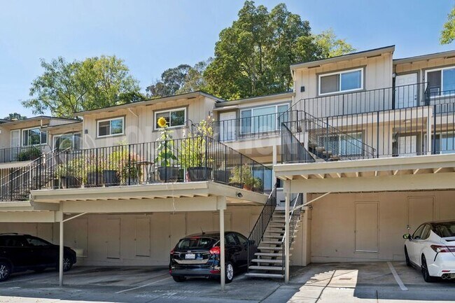 237 Picnic Ave San Rafael, CA 94901