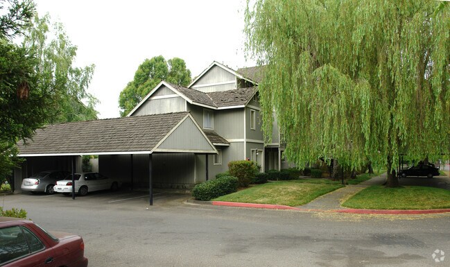Willow photo 3