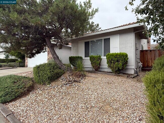 4490 Leatherwood Ct Concord, CA 94521 photo 3